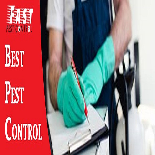 Pest Control Wollongong