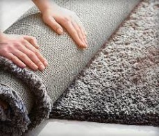 Carpet Cleaning Bardon