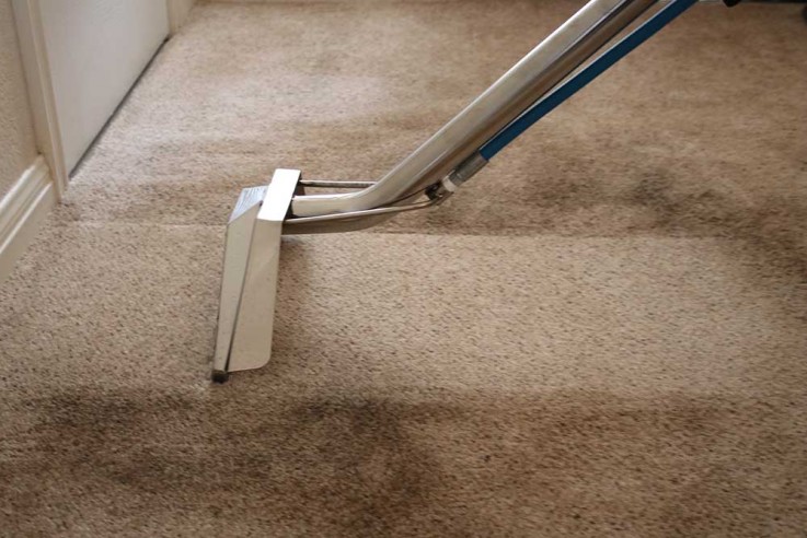 Carpet Cleaning Bellevue Hill