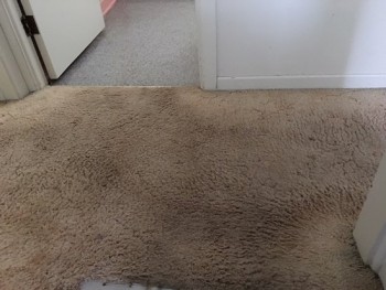 Carpet Cleaning Pooraka