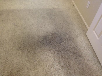 Carpet Cleaning Pooraka