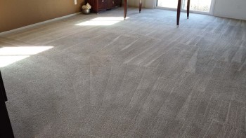 Carpet Cleaning Pooraka