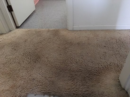 Carpet Cleaning Pooraka