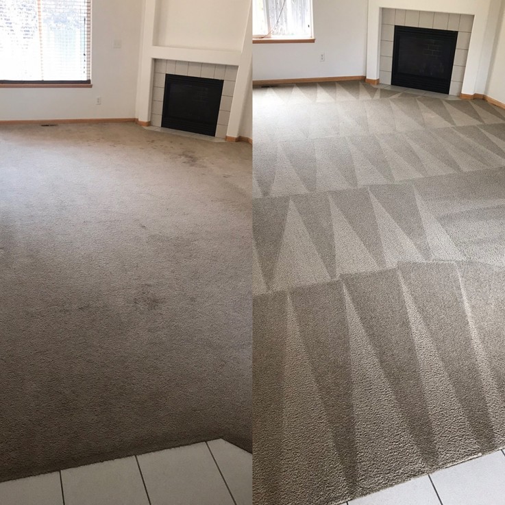 Carpet Cleaning Pooraka