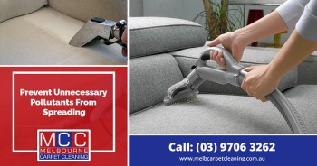 Importance of couch cleaning services in Melbourne
