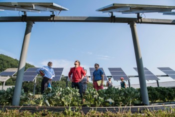 Virtual Power Plant QLD | Virtual Power Plant Australia