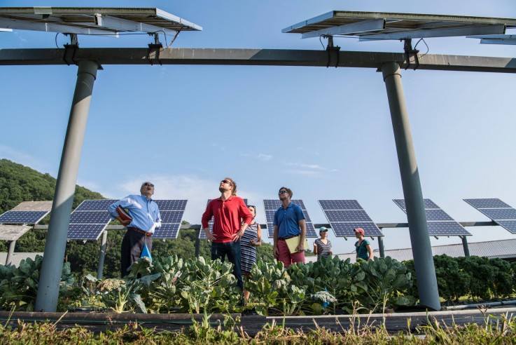 Virtual Power Plant QLD | Virtual Power Plant Australia