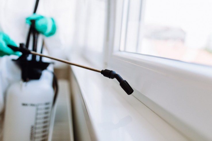 Save 25% Extra on Cheap Pest Control Gold Coast