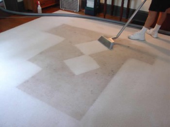 Carpet Cleaning Greenslopes
