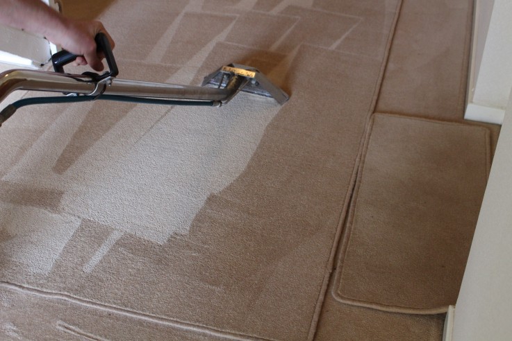Carpet Cleaning Greenslopes