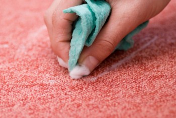 Professional Carpet Cleaning Brisbane
