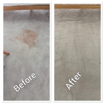 Professional Carpet Cleaning Brisbane