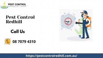 Redhill Pest Control Services