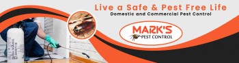Cockroach Control Sydney