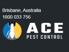 Ace Pest Control Brisbane