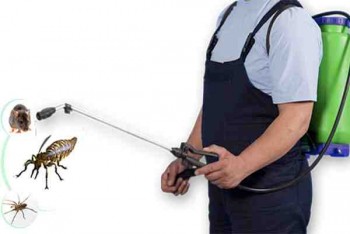 Ace Pest Control Brisbane