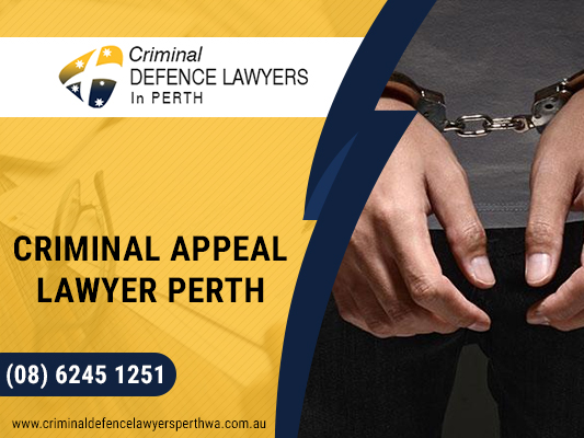 How to file an appeal in court?