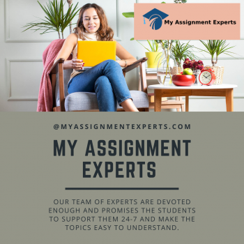 My assignment Expert
