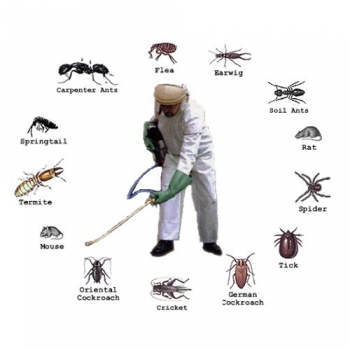 Squeak Pest Control Melbourne
