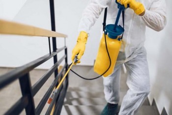 Squeak Pest Control Melbourne