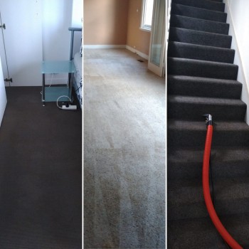 Hire the Best Professional Carpet Cleaners in Sydney