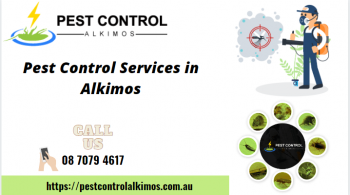 Best Pest Control Services in Alkimos