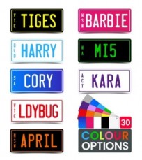 Personalised Mini Number Plate for Kids 