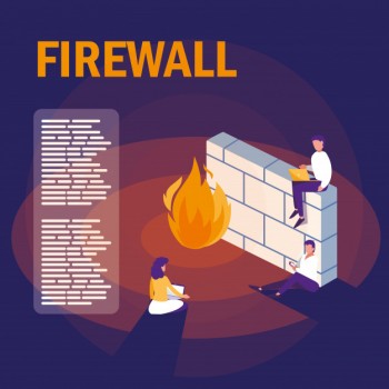Find Your Network Firewall Security Solu