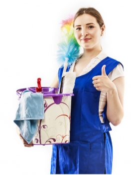 Hire the Best Carpet Cleaners in Sydney