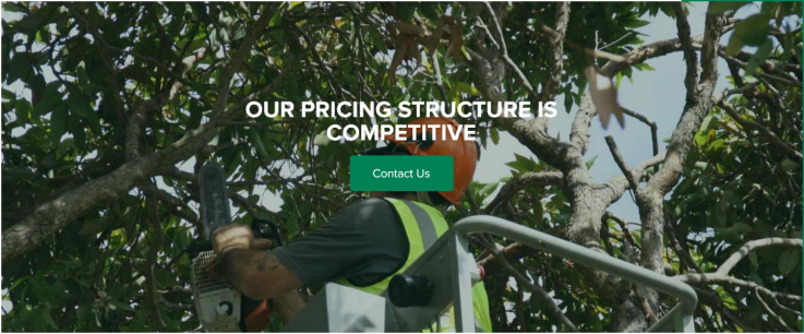 Tee loppers Adelaide – For tree pruning and trimming!