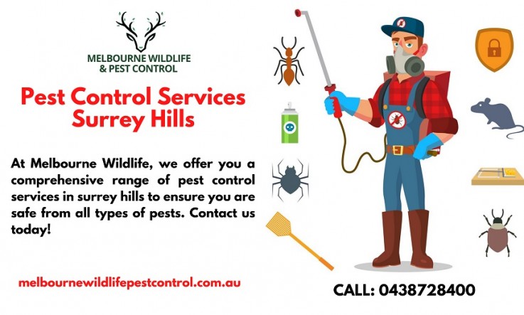 Why Choose Melbourne Wildlife Pest Control For Pest Control Surrey Hills?