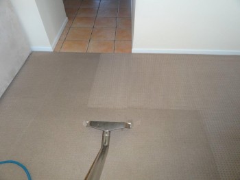 Carpet Cleaning Ngunnawal