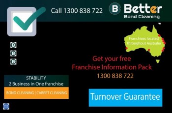 Cleaning Business 