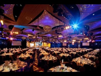 Professional Business