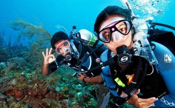 Whitsundays Scuba Diving Trip