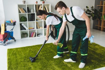Get Affordable Rug and Mat Cleaning Services in Box HIll, Melbourne
