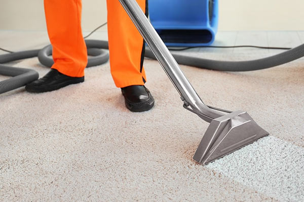 Best Carpet Cleaning South Yarra