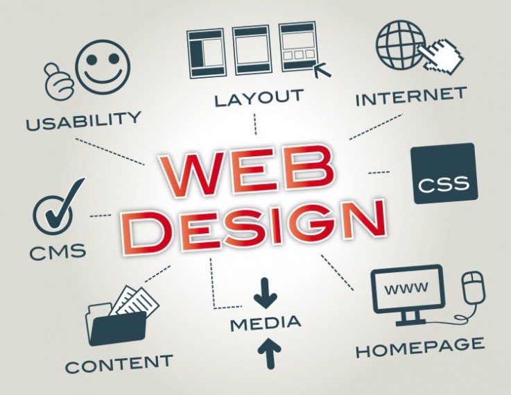 Need work for Web Designer