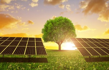 One of the Best Solar Companies in Adelaide | Arise Solar