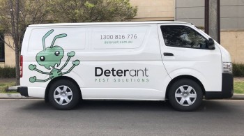 Deterant Pest Control Adelaide