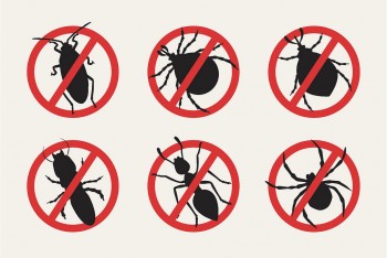 Pest Control Ellenbrook