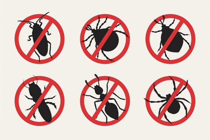 Pest Control Ellenbrook