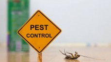 Pest control Keilor East