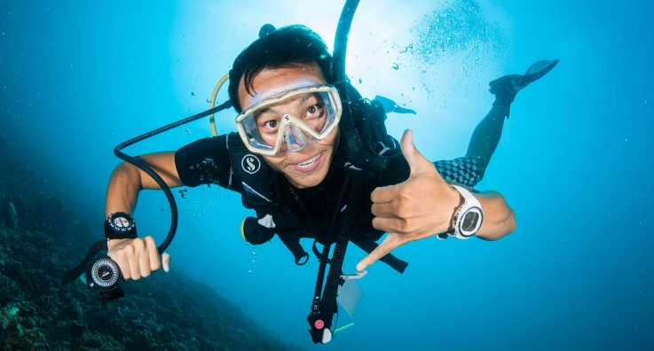 Get Affordable Packages for Whitsundays Diving Trip
