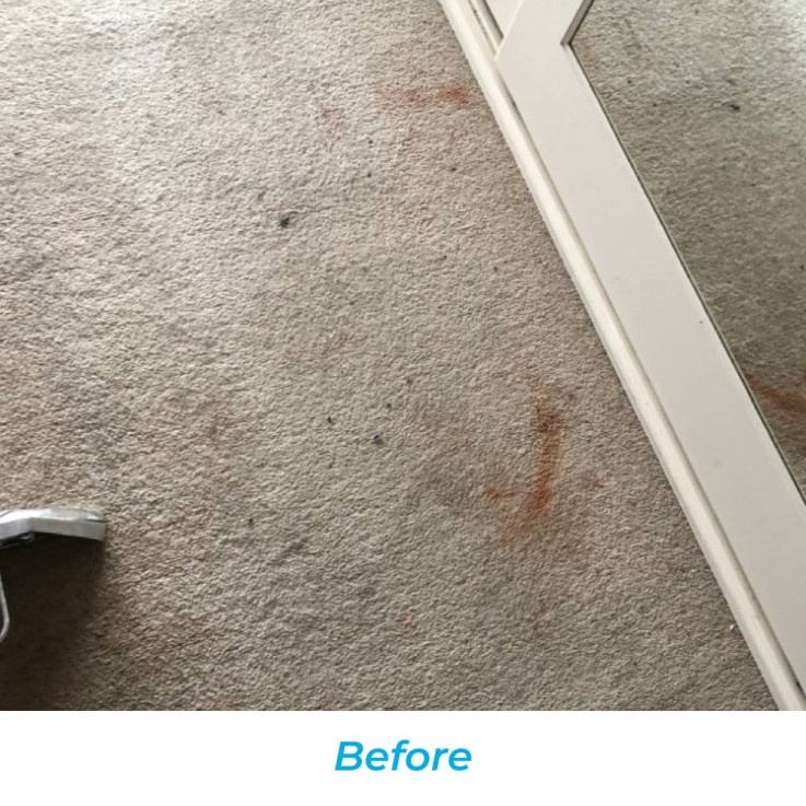 Carpet Cleaning Services In Sydney | We clean all kind of carpets and rugs