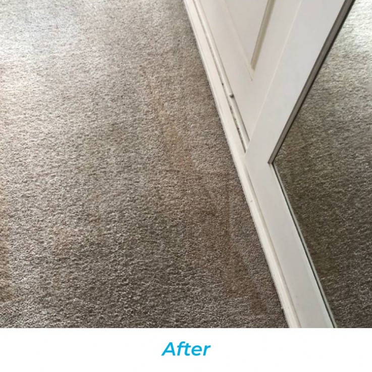 Carpet Cleaning Services In Sydney | We clean all kind of carpets and rugs