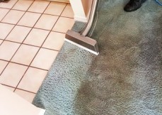 Carpet Cleaning Gold Caost