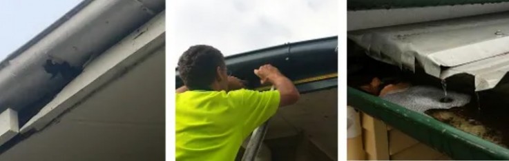Brisbane Gutter Cleaning | 07 3813 5660