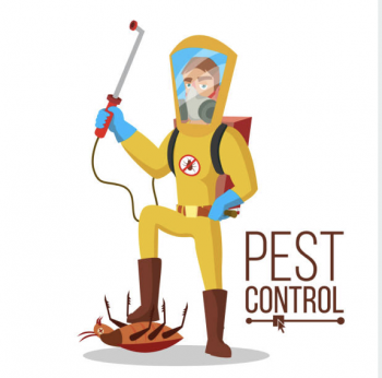 Pest Control Seymour