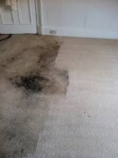Carpet Cleaning The Gap